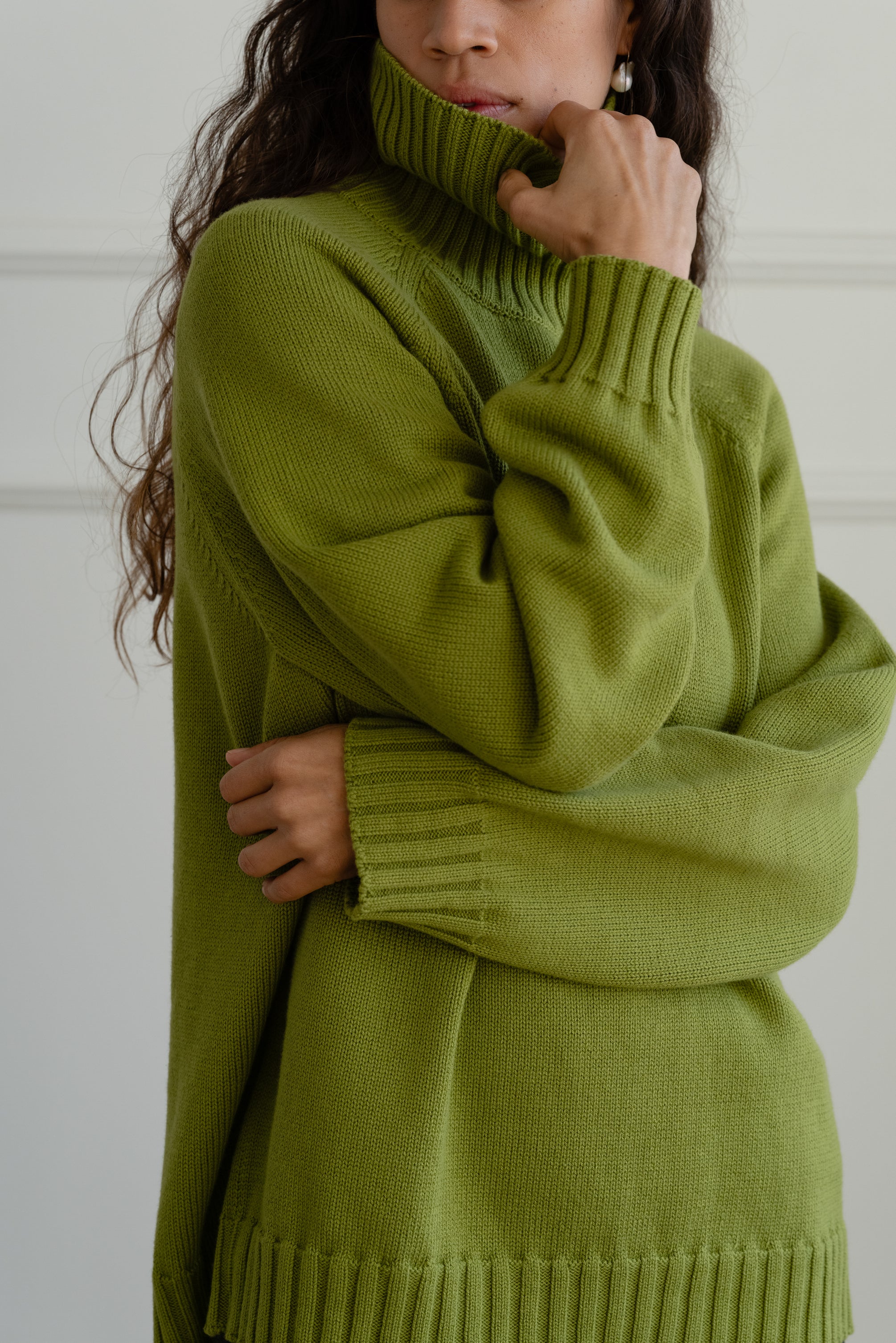 The Cotton Cashmere Turtleneck Sweater - Main Image