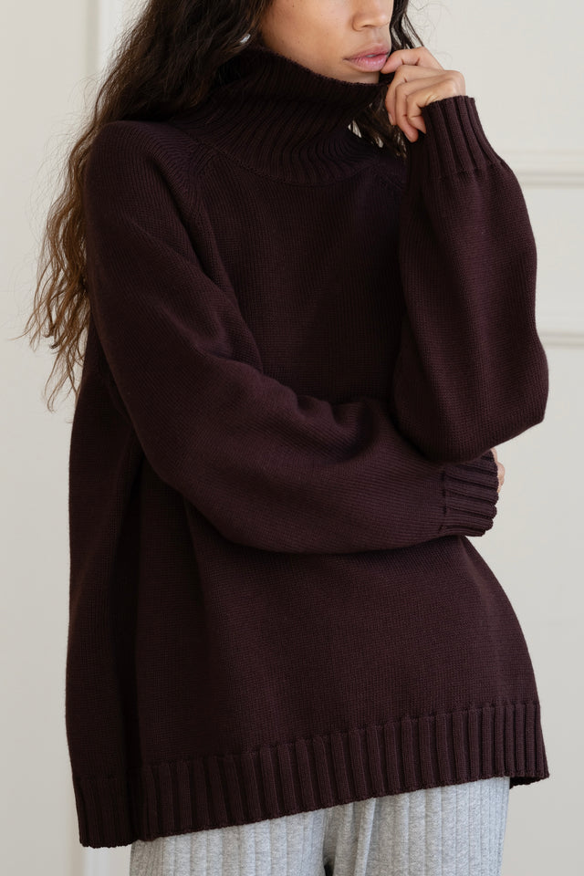 The Cotton Cashmere Turtleneck Sweater