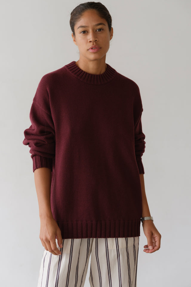 The Cotton Cashmere Crewneck Sweater