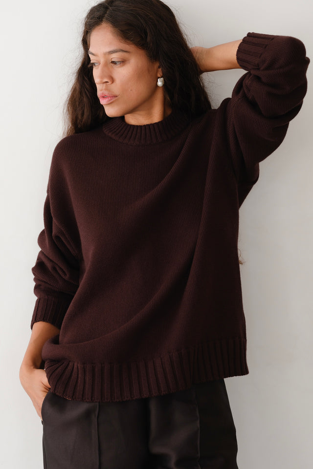 The Cotton Cashmere Crewneck Sweater