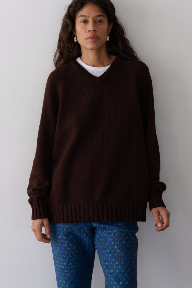 The Heavy Cotton Knit V-Neck Sweater
