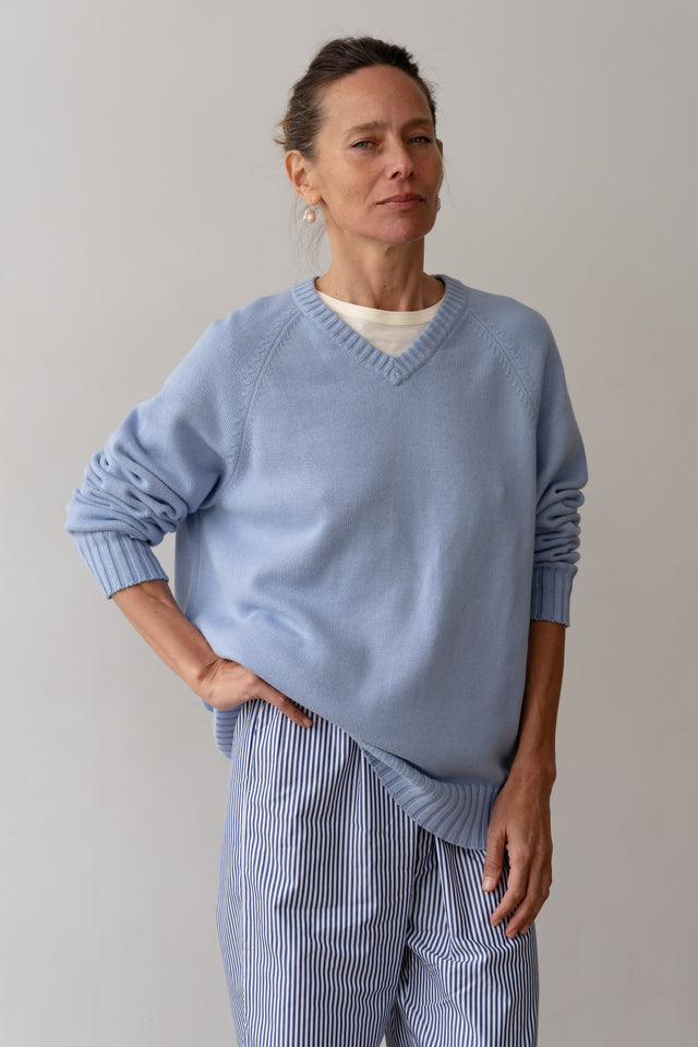 The Cotton Knit V-Neck Sweater