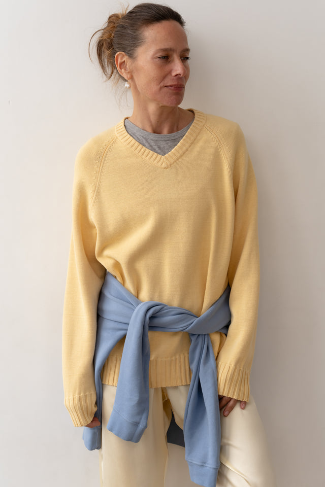 The Cotton Knit V-Neck Sweater