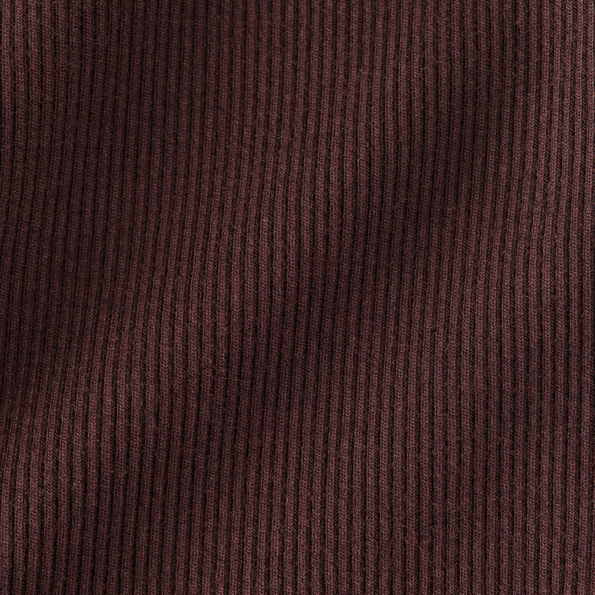 Rib