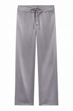 The Silk Stretch Board Pant Silver