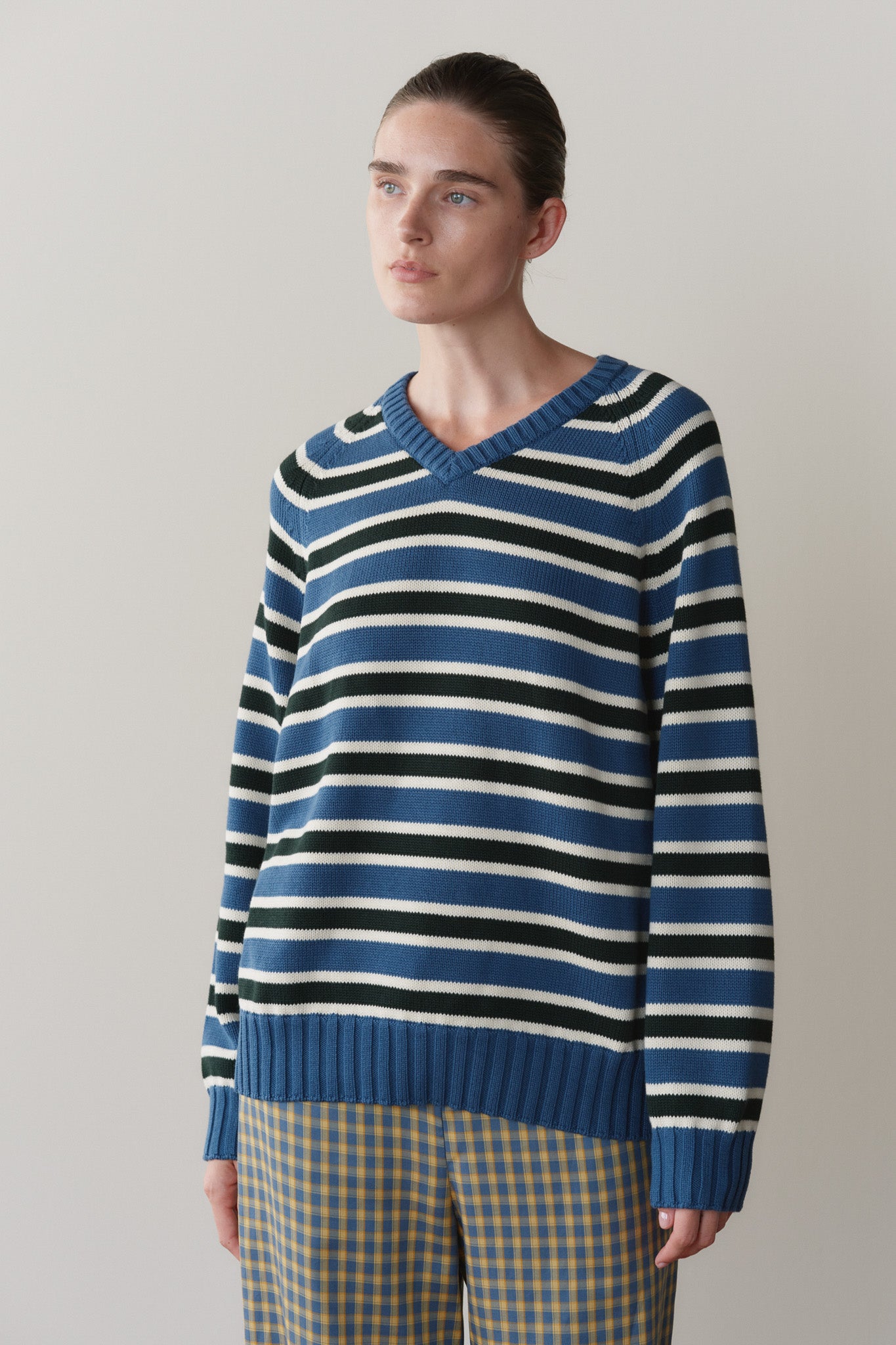 The Cotton Knit Stripe V-Neck Sweater